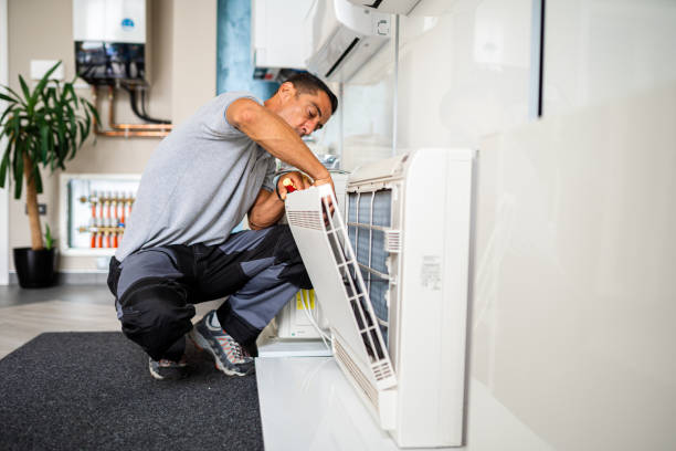 Best Home Air Vent Cleaning  in Dowagiac, MI