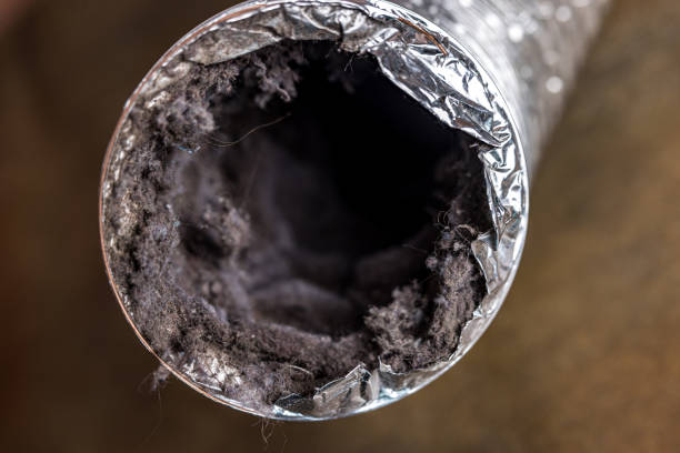 Best Local Air Duct Cleaning Services  in Dowagiac, MI