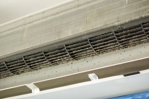 Best Air Duct Cleaning Company Near Me  in Dowagiac, MI