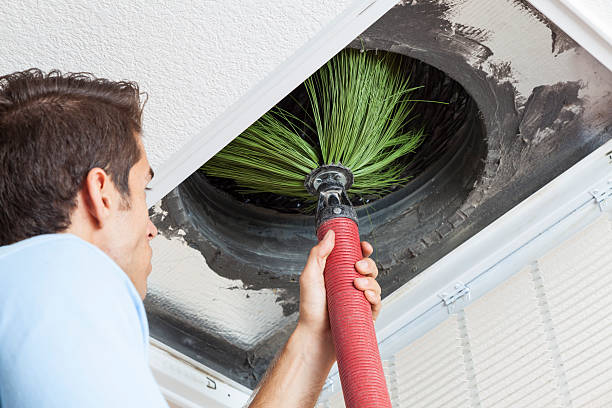 Best Duct Cleaning Specialists  in Dowagiac, MI